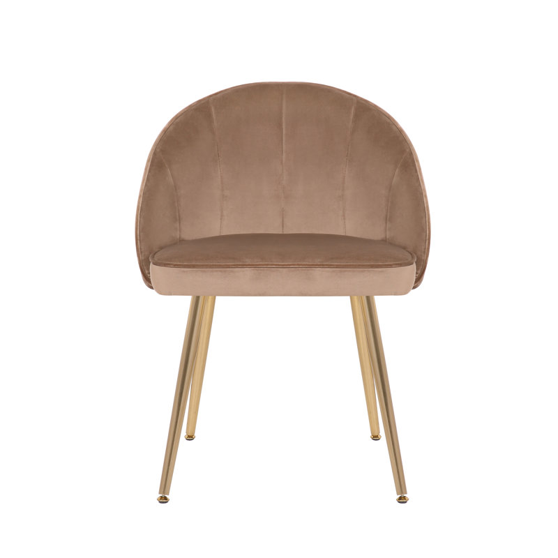 Everly Quinn Nesmith Velvet Upholstered Side Chair & Reviews Wayfair